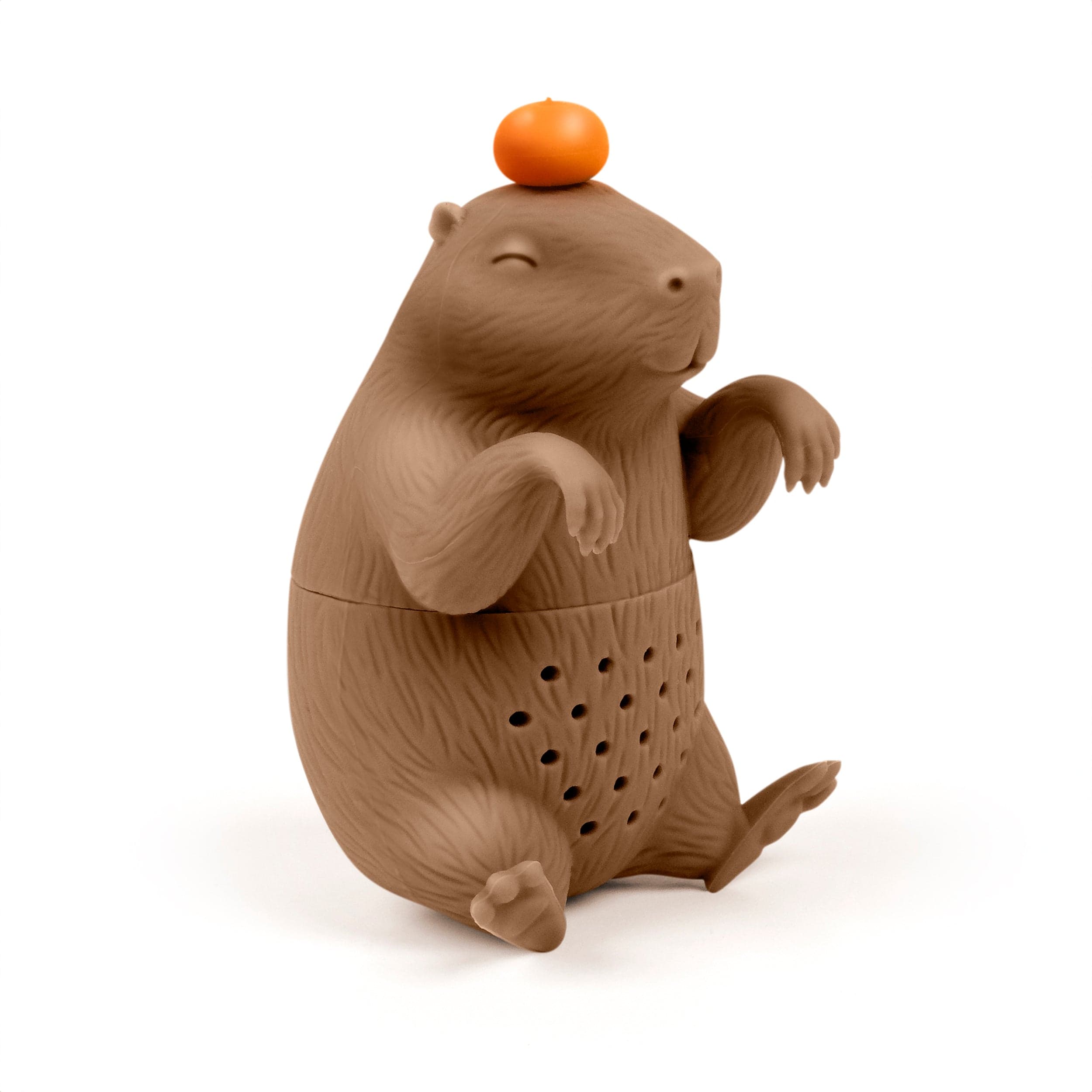CAPYBARAHHH