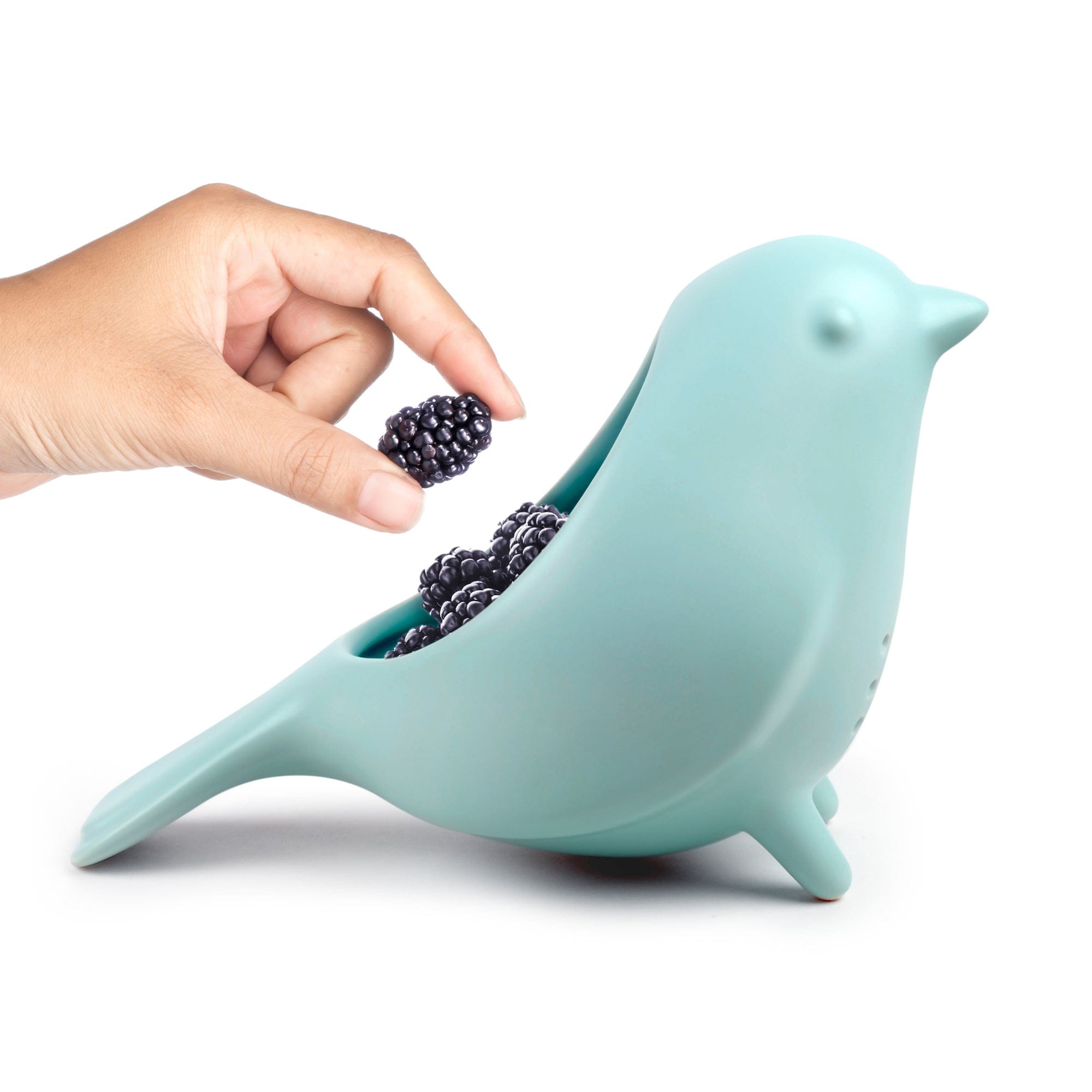 BLUE BIRD